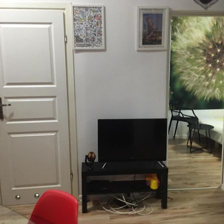 Apartament Pod Wrona Stary Toruń Exterior foto
